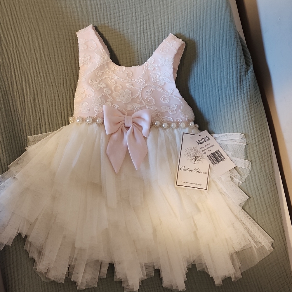 Elegant Pink and Cream Tulle Dress